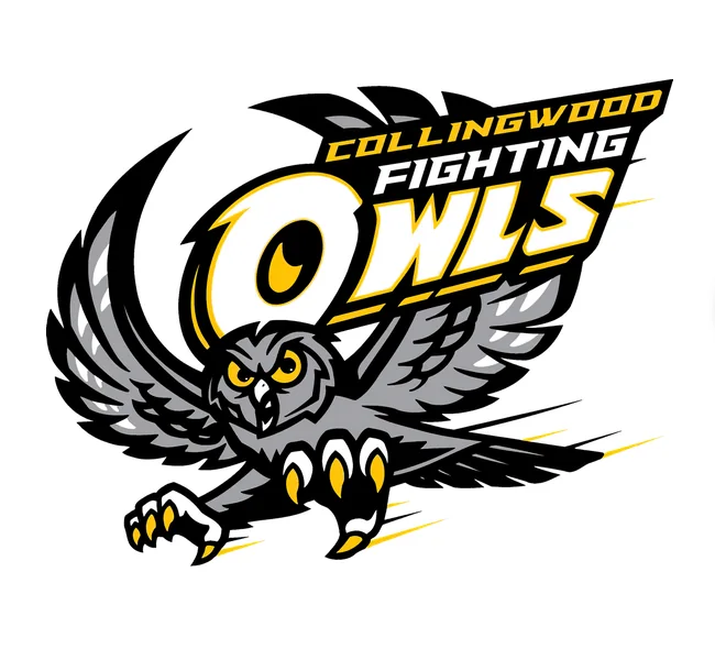 Collingwood Fighting Owls mascot – original artwork